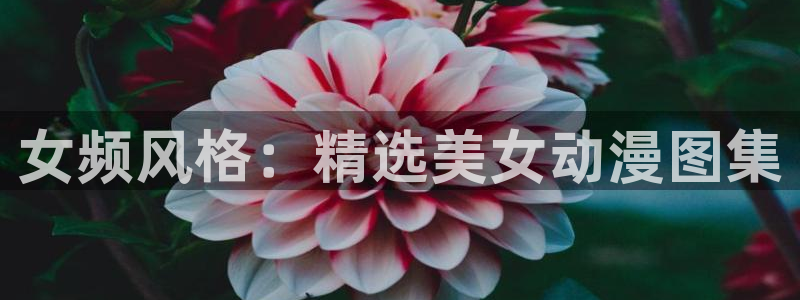 动漫天堂免费版