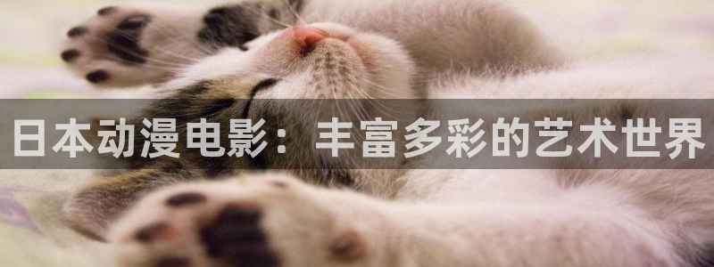 天堂动漫网站在线免费观看